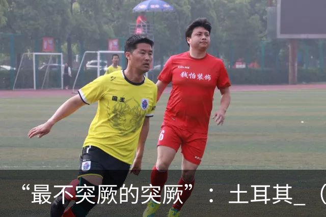 “最不突厥的突厥”：土耳其 （中土网友大战系列之一）