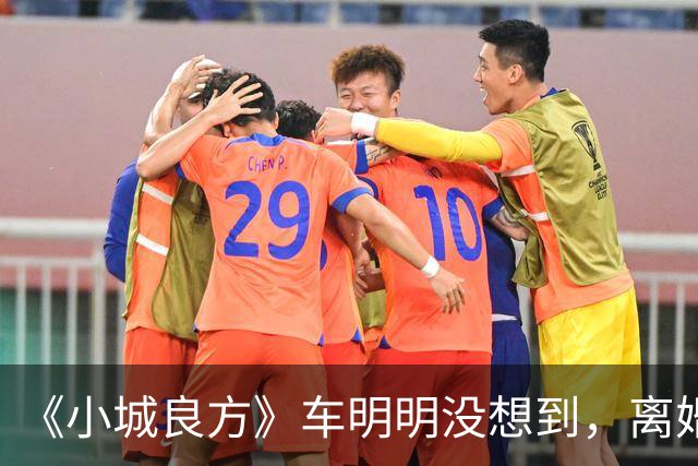 《小城良方》车明明没想到，离婚远走，却促成陈俊南平步青云