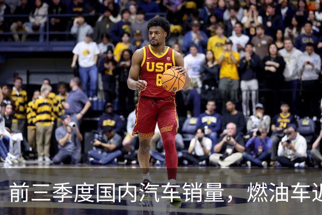 前三季度国内汽车销量，燃油车近乎腰斩，比亚迪销量断崖领先