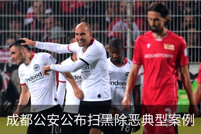 成都公安公布扫黑除恶典型案例