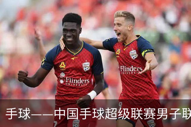 手球——中国手球超级联赛男子联赛：江苏队胜U20联队