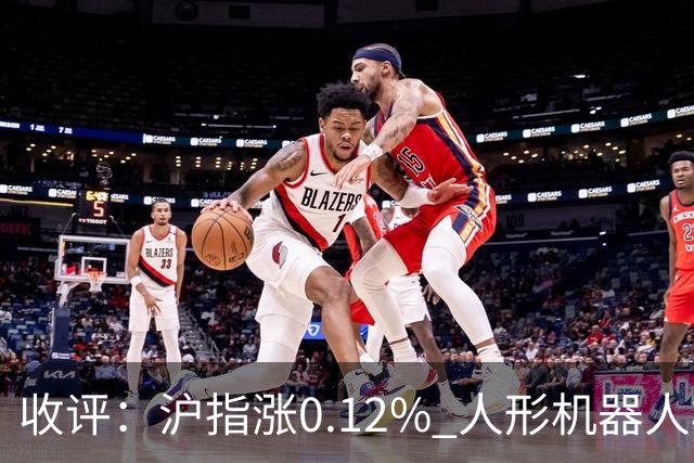 收评：沪指涨0.12% 人形机器人板块大涨