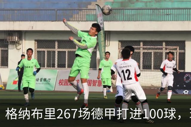 格纳布里267场德甲打进100球，现役德甲球员中第三位百球先生