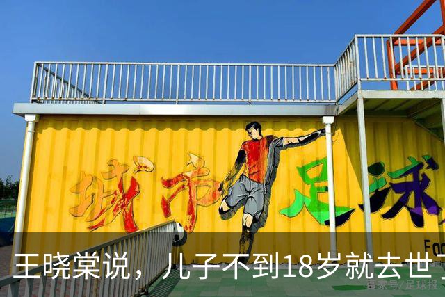王晓棠说，儿子不到18岁就去世了，她边说边流泪