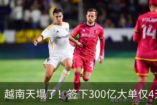 越南天塌了！签下300亿大单仅4天，中国新出一项公告，项目或流产
