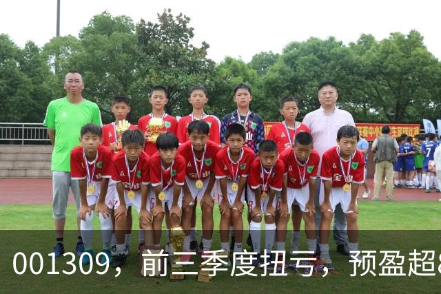 001309，前三季度扭亏，预盈超86亿元！A股存储龙头，密集利好！
